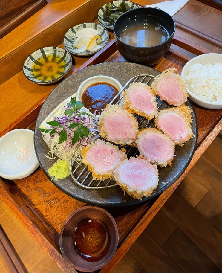  [평택/진위] 돈까스 맛집 내돈내산 솔직 후기_기린아