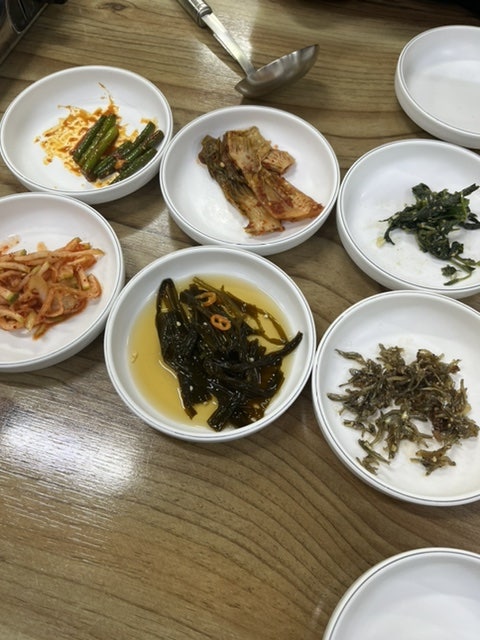 울진곰치 사진 2