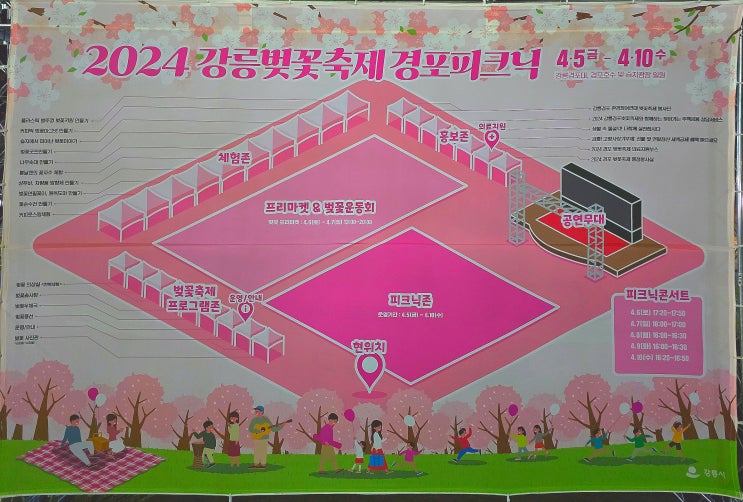  2024 강릉 벚꽃축제 경포피크닉