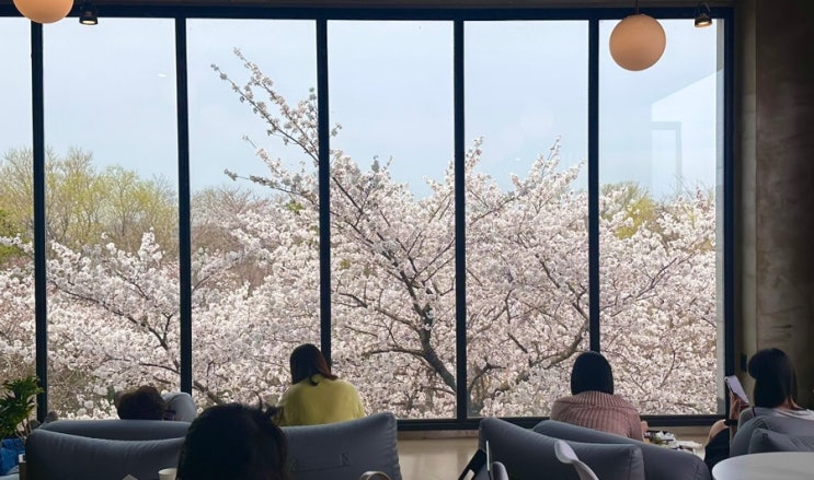  [경주/보문] 카페 야드 경주 벚꽃 대형카페 브런치 벚꽃뷰 통창 보문단지 벚꽃명소 딸기케이크 + 내돈내산!