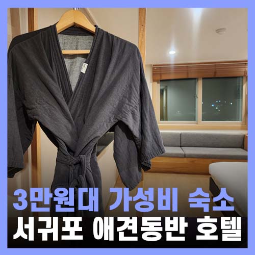  제주 가성비 숙소 호텔 애견동반 가능한 헤이 서귀포 조식