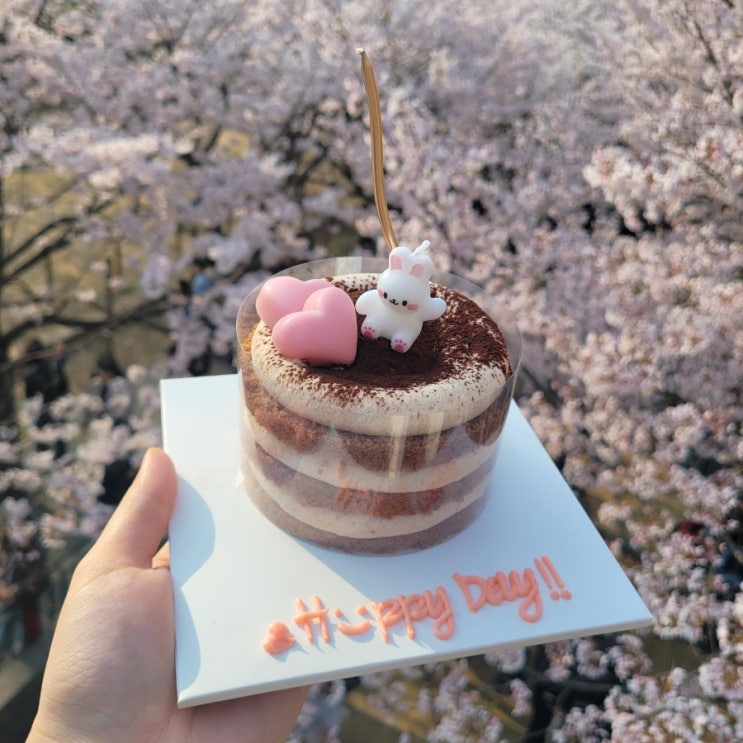  성수카페:성수레터링케이크[어썸스윗] 신메뉴 초코숲 레터링 케이크, 마카롱 후기