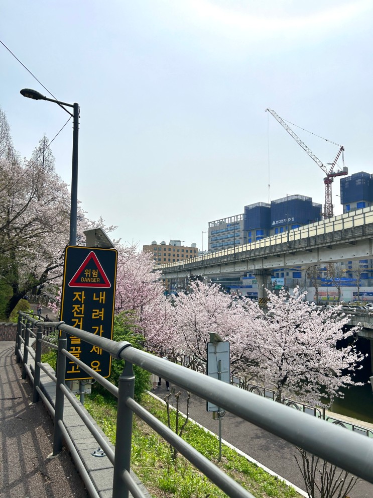 허밍웨이길 - 반포한강공원 숨은 벚꽃 명소 (루트 공유드려요)