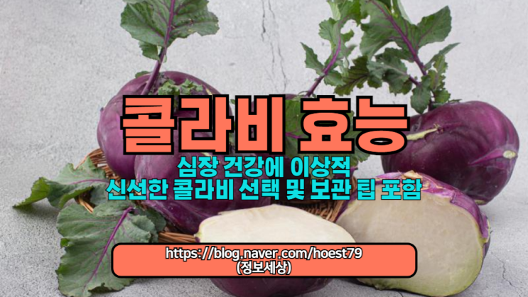  콜라비 놀라운 효능을 알아보세요! 비타민 C와 섬유질이 풍부해 면역 체계 강화, 체중 관리, 심장 건강에 이상적입니다. 신선한 콜라비 선택 및 보관 팁 포함!