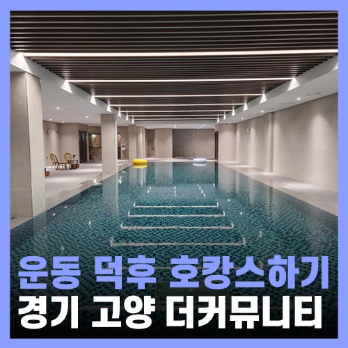  서울 근교 호캉스 골프 테니스 수영장 24시간이 부족한 더커뮤니티A