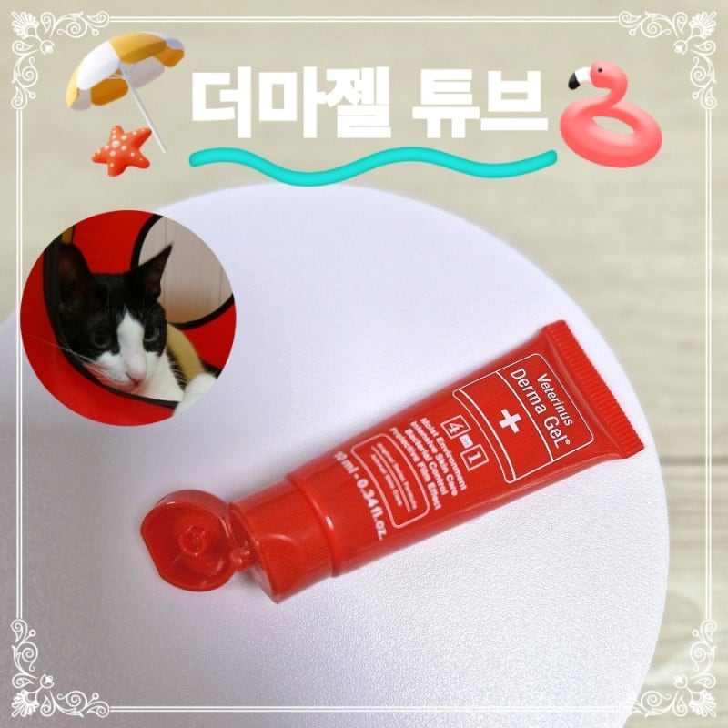 고양이 피부 상처 연고 더마젤 튜브 발바닥 젤리 연고