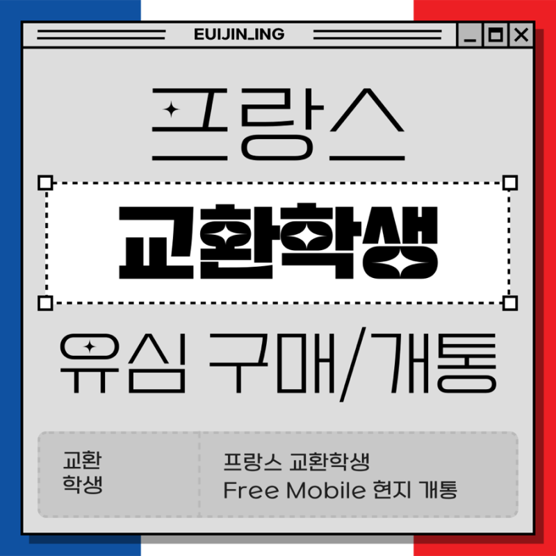 [교환 생활] 프랑스 교환학생 통신사 추천 - free 프리 모바일 유심 구매/개통/사용기