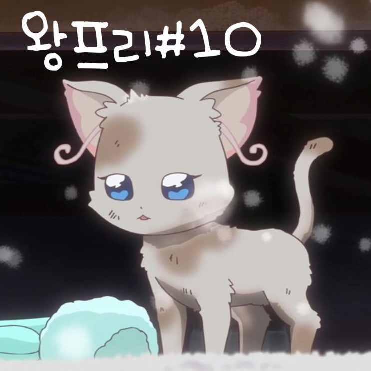  원더풀 프리큐어 10화 길고양이 과거 밝혀지다, 11화 예고