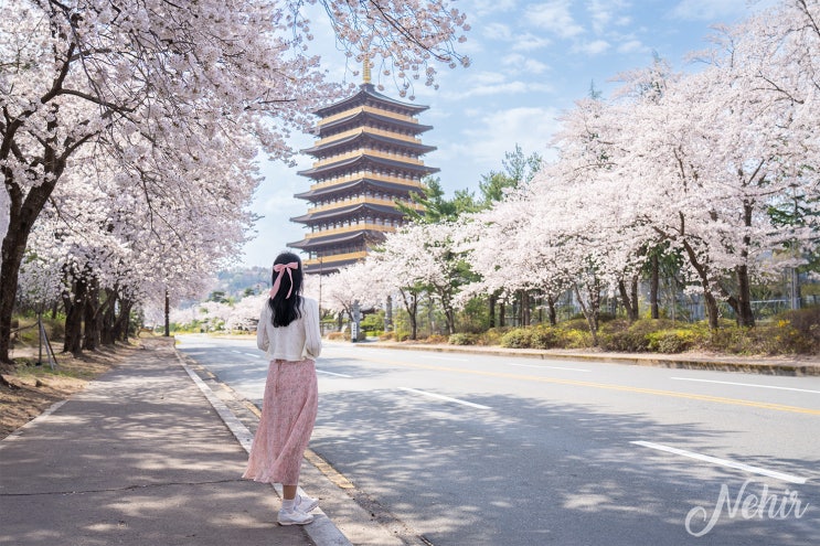 4월 경주 가볼만한곳 황룡원 보문관광단지 벚꽃 경주 여행 코스 추천 4월 경주 가볼만한곳 황룡원 보문관광단지 벚꽃 경주 여행 코스 추천