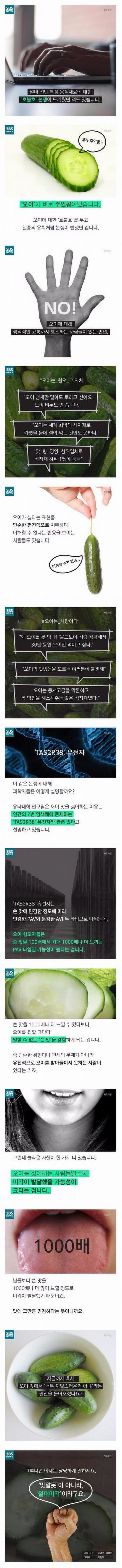  오이를 못먹는 이유