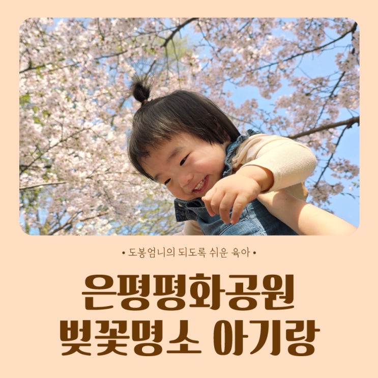  은평평화공원 불광천에 가려진 숨은 벚꽃명소 아기랑 갈만한곳