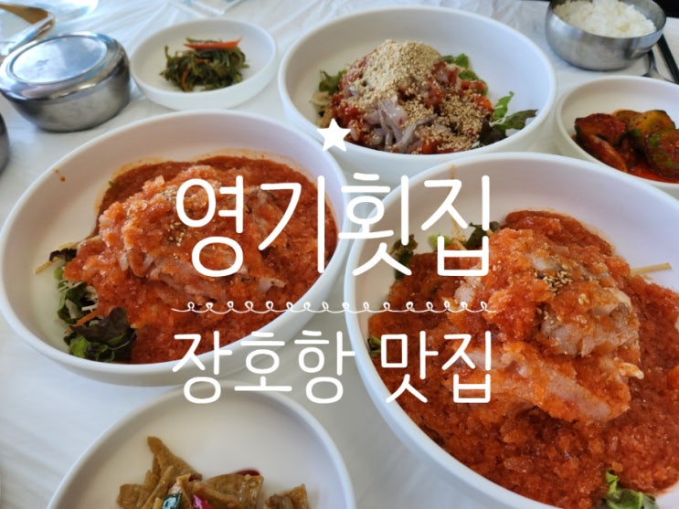  장호항 맛집 내돈내산 영기횟집 시원한 물회 속풀리는 매운탕
