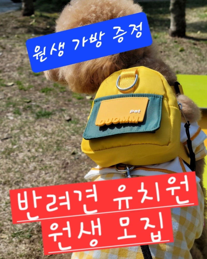 사진 3