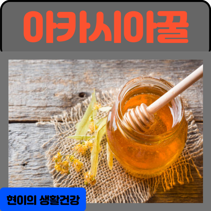 아카시아 꿀의효능 부작용 칼로리 : 꿀 한스푼 칼로리