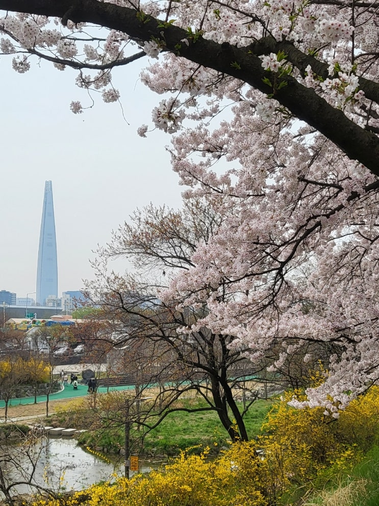  [KB국민은행] 중기청 전세 대출 4년 후 버팀목 전환 후기_서류, 이자 등