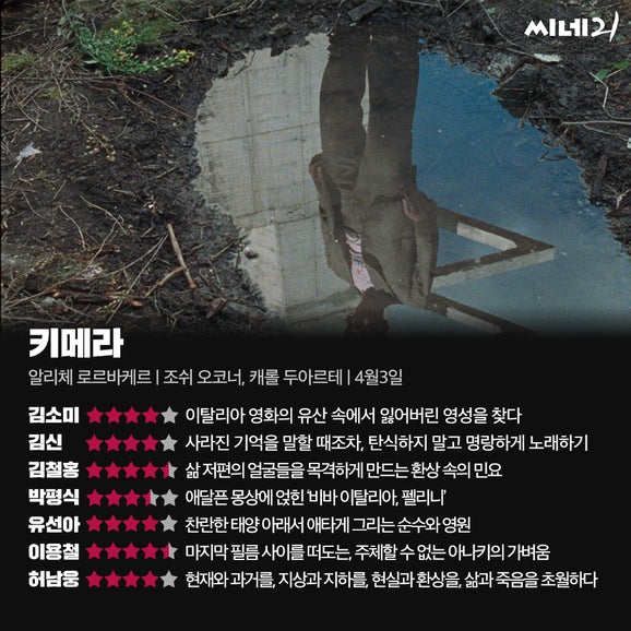 씨네21/씨네플레이 24년 4월 2주 영화 별점 한줄평(키메라, 오멘:저주의 시작, 고질라X콩: 뉴엠파이어, 비키퍼 등)