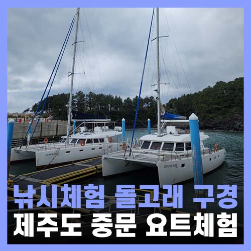  제주도 요트 체험 돌고래 낚시 그랑블루요트