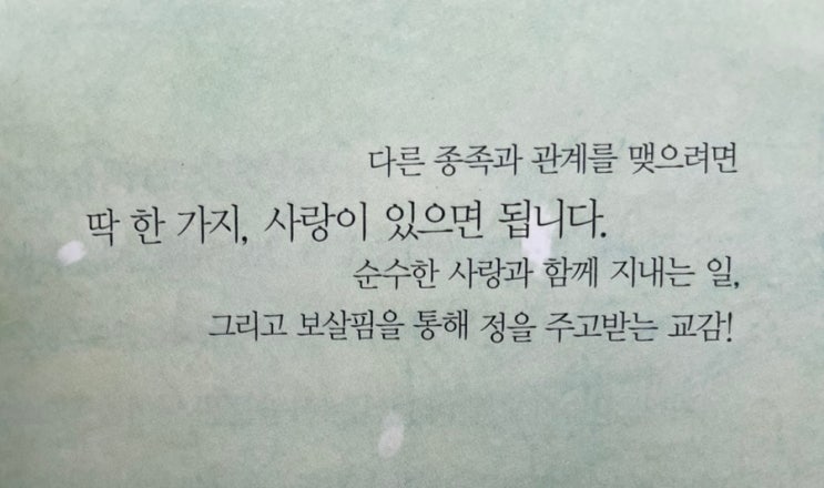  책, 인생을 만들다, 요시모토 바나나