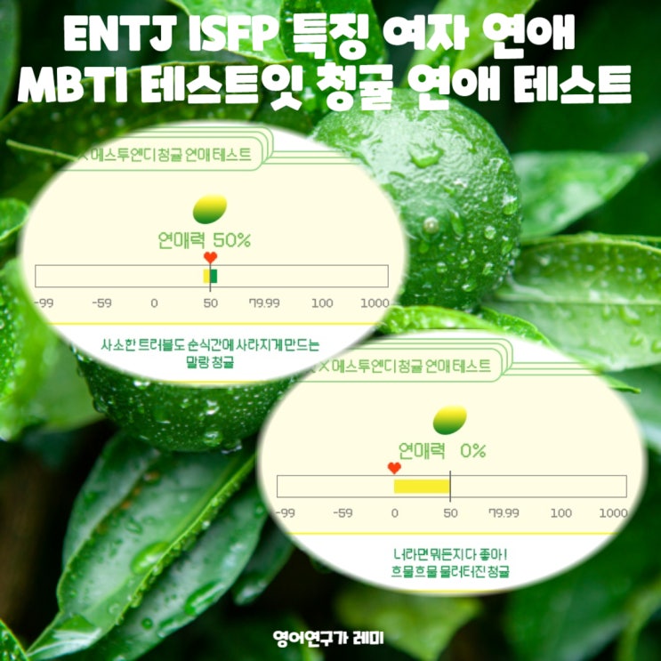 ENTJ ISFP 특징 여자 연애 MBTI 테스트잇 청귤 연애 테스트