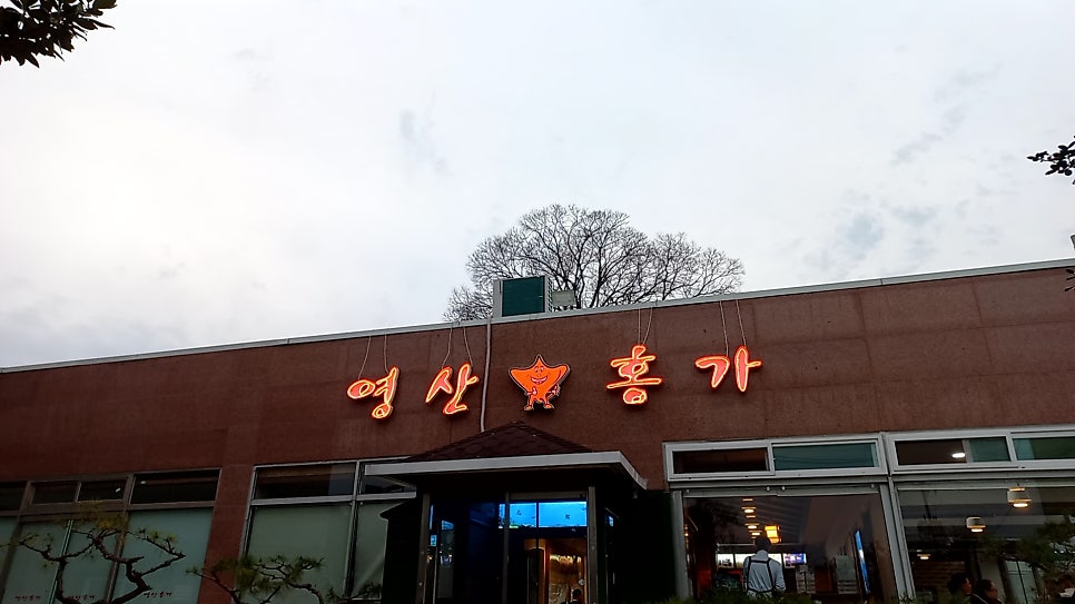 영산홍가 사진 1