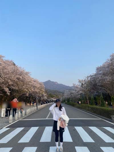  연인, 친구, 아이와 같이 가기 좋은 과천 서울대공원 벚꽃 나들이 다녀왔어요 :: 사진찍기 좋은 곳 추천