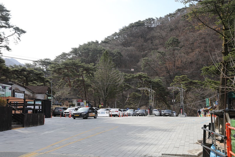 사진 10