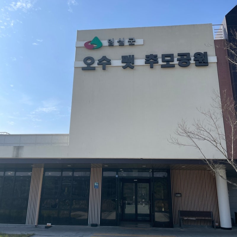 사진 5