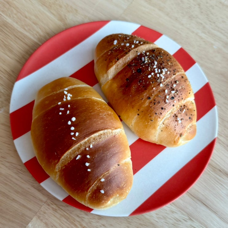  불광역 베이커리 빵집 소금빵 치아바타 샌드위치까지 라이언베이커 제과점 이틀 연속 방문 후기