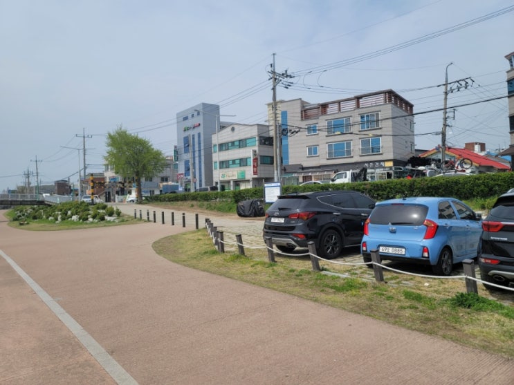  <대구 동구> 불로천! 대구에서 나들이! 산책과 운동하기 좋은 곳~