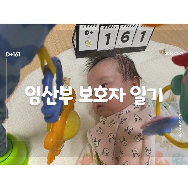 할아버지와 할머니와의 첫 만남 D+161일 할아버지와 할머니와의 첫 만남 D+161일