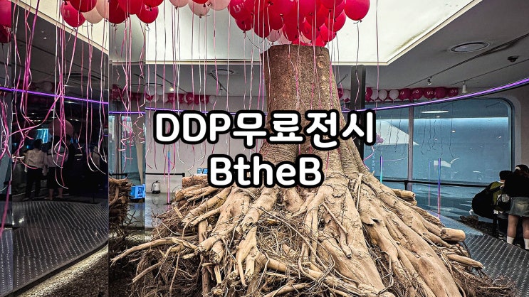 서울 무료전시 포토존투성이 비더비 DDP놀거리