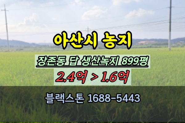  아산시 농지 경매 장존동 토지 1천평이하 1억대