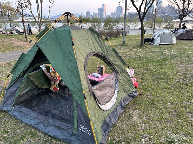  뚝섬유원지 벚꽃 나들이 | 한강 텐트 규정 (장소, 기간, 시간)