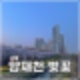 서울_양재천 벚꽃축제 봄나들이 명소 주차장