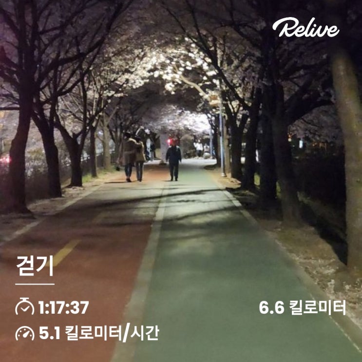  운동 챌린지 4일차 _ 살몸돼
