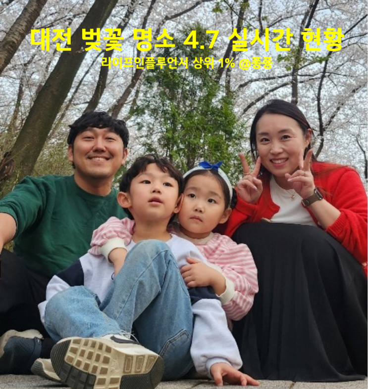  대전 벚꽃 명소 아이와 가볼만한곳 추천 대청호 오월드 테미공원 실시간 벚꽃 현황