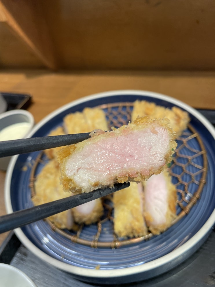  숙성육으로 만든 성내동 맛집 돈까스 / 리애 프리미엄