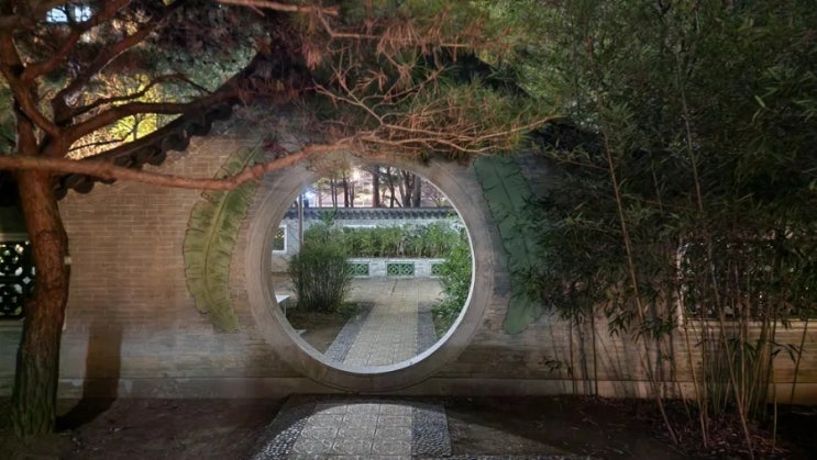  수원 벚꽃명소.월화원 데이트코스.수원가볼만한곳