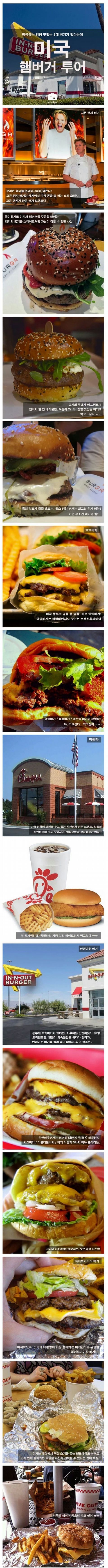  미국 햄버거 투어