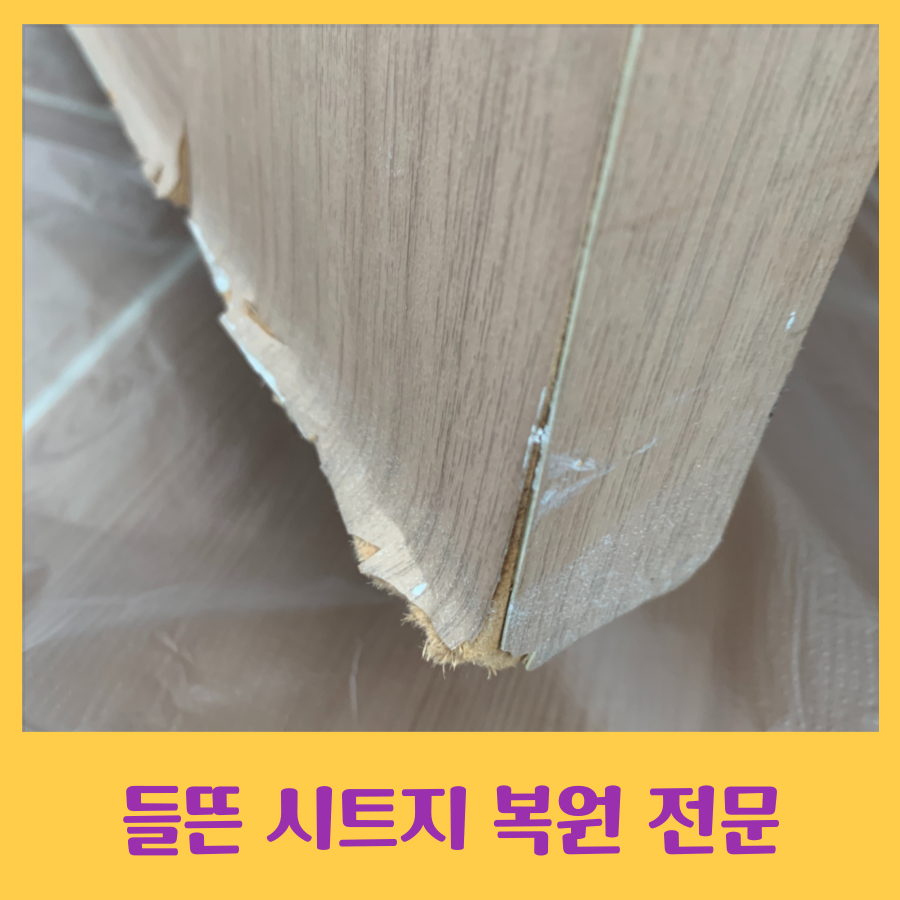물을 먹어 시트지가 들뜬 다용도실 문 복원작업