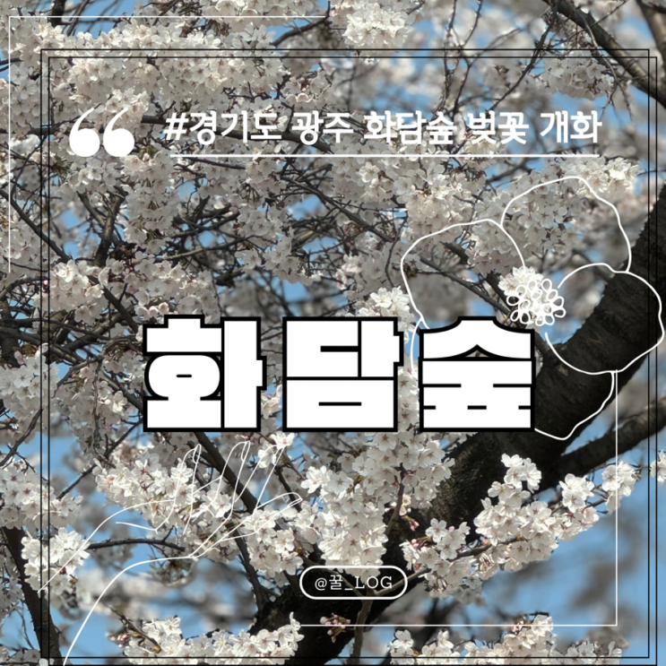  화담숲 벚꽃 개화 실시간 가까운 주차장 모노레일 음식 반입 안내 상세 후기