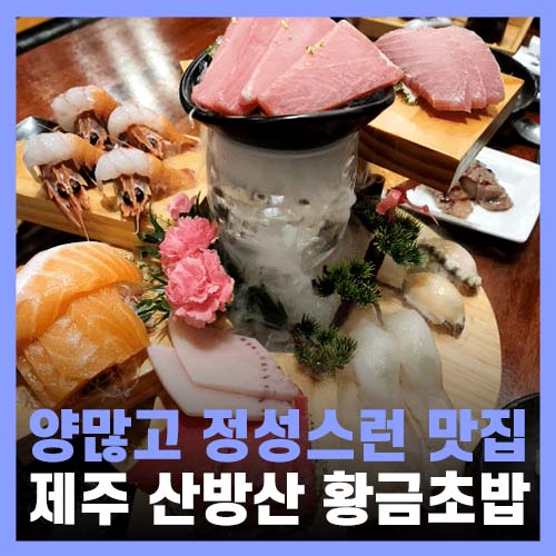  제주 도민맛집추천 양 많고 정성스러운 황금초밥