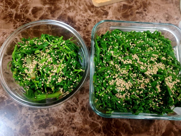 올해도 오가피 순이 피기 시작합니다. 봄이 다 가기 전에 오가피 순 맛보세요 올해도 오가피 순이 피기 시작합니다. 봄이 다 가기 전에 오가피 순 맛보세요