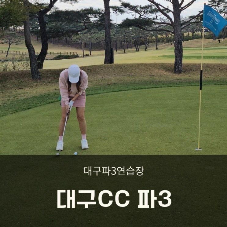  대구파3 연습장 대구CC 파3 예약 방문  그린상태 양호