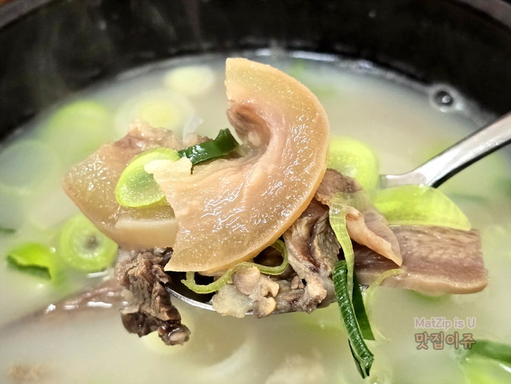  대전 야구장, 테미오래 부근 맛집 문창동 소머리국밥
