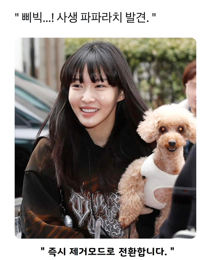  사생 파파라치 발견