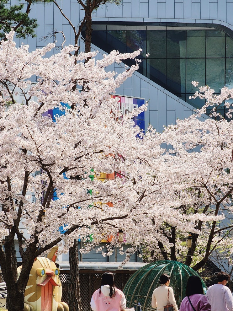 주말 동네 산책하며 벚꽃엔딩