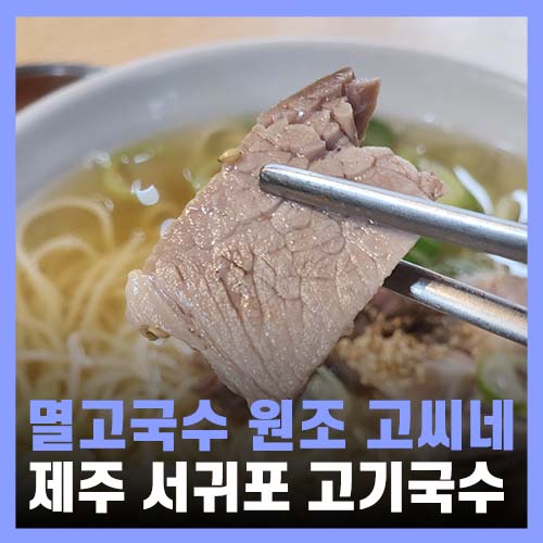  제주 올레시장 맛집 멸고국수 원조 고씨네천지국수