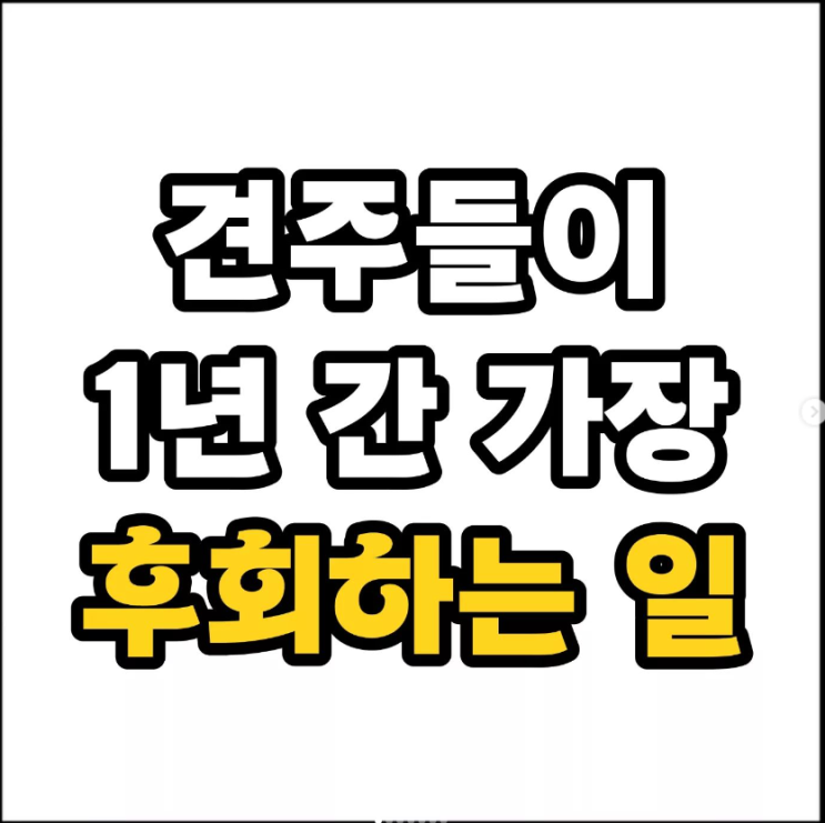  견주들이 1년간 가장 후회하는 일