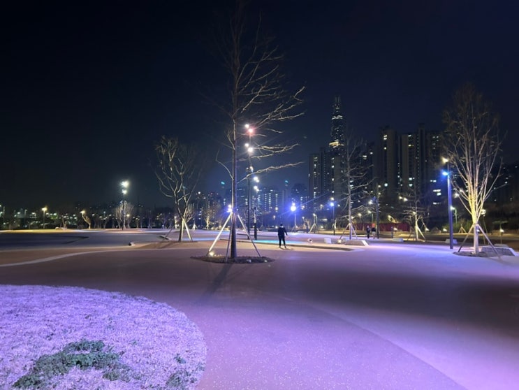  잠실한강공원 강아지 산책 곧 오픈할 수영장 구경까지!